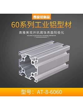 上海歐標(biāo)6060流水線支架框架